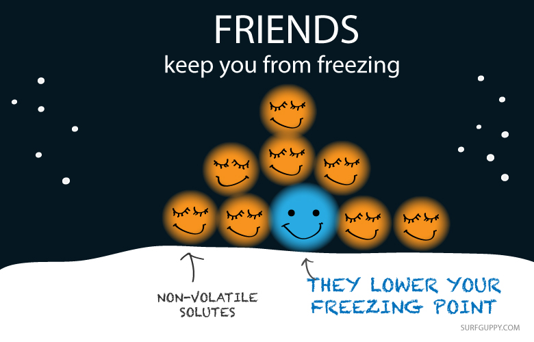 freezing-point-depression-examples-in-everyday-life-studiousguy