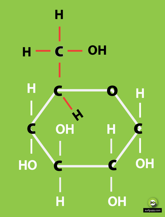 3 Simple Steps Draw the ring structure of glucose molecule