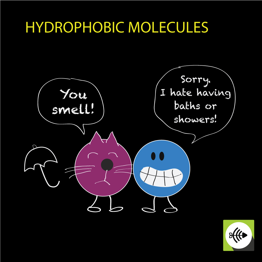 hydrophilic-examples