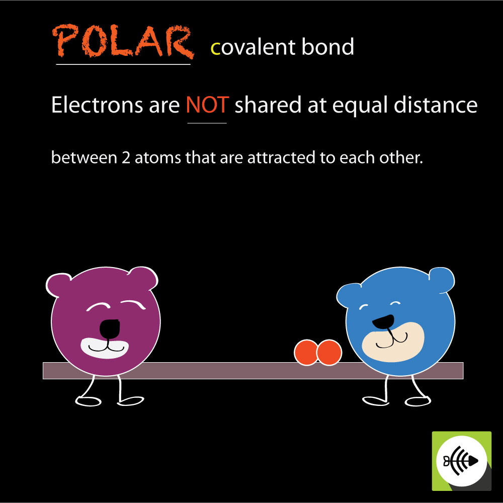 what-is-polar-covalent-bond