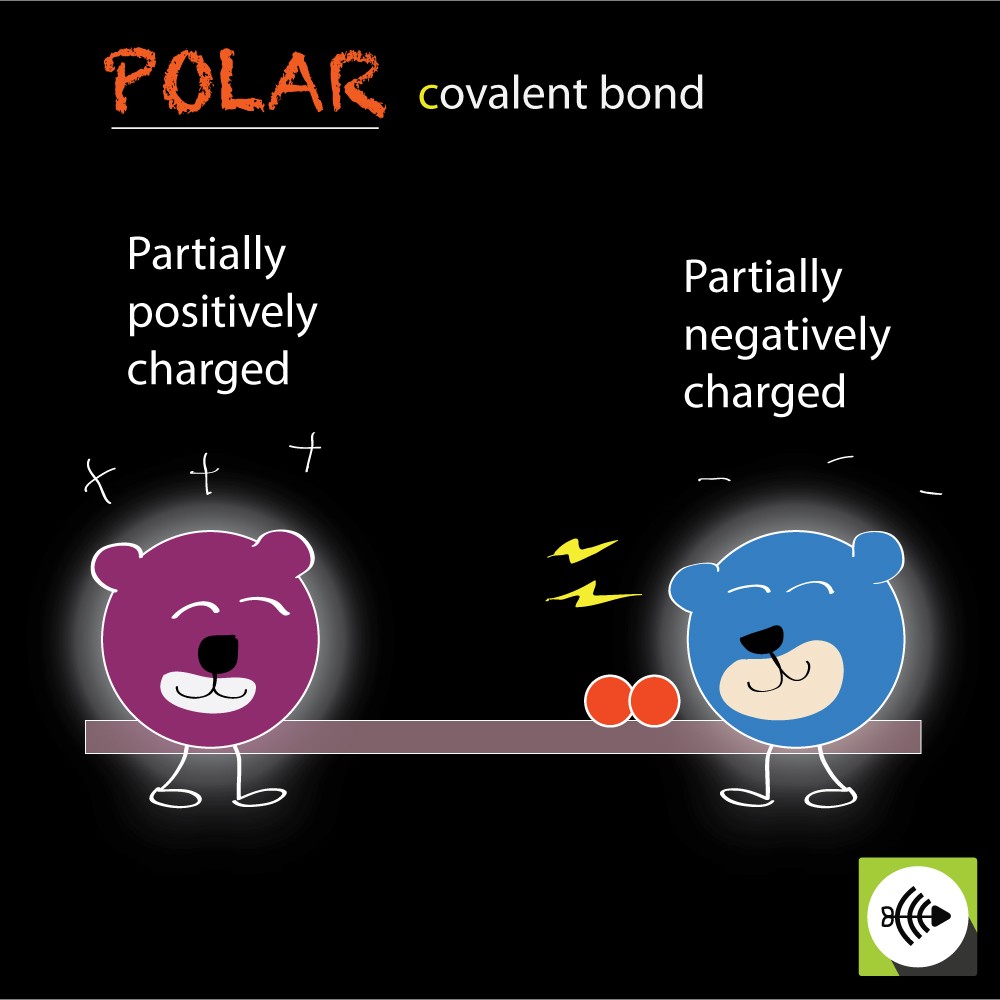 Which Best Describes A Polar Bond