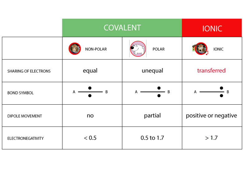 Comparision Of Bonds Surfguppy Chemistry Made Easy For Visual Learners 