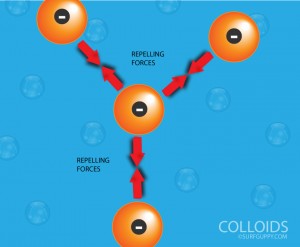 Colloid particles repel one another due to presence of similar charges