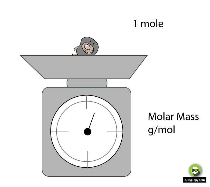 Molar Mass - chemistry