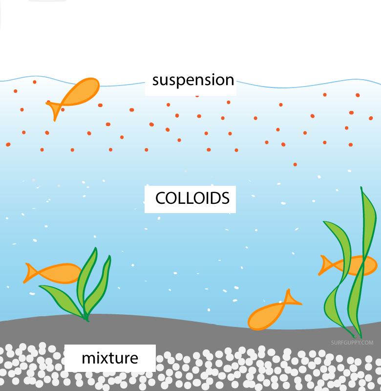 Colloidal substance in a fish tank