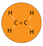 a-monomer