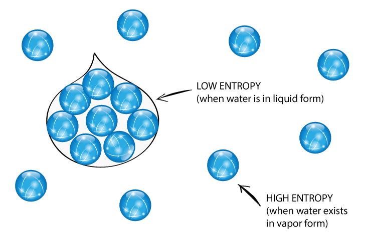 opposite of entropy