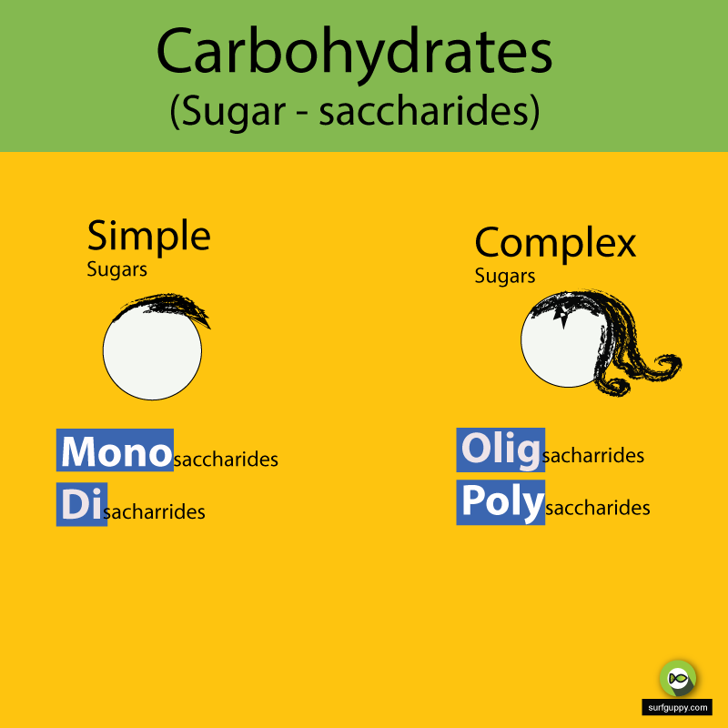 Organic Chemistry - Carbohydrates - Simple Sugar - Complex Sugars