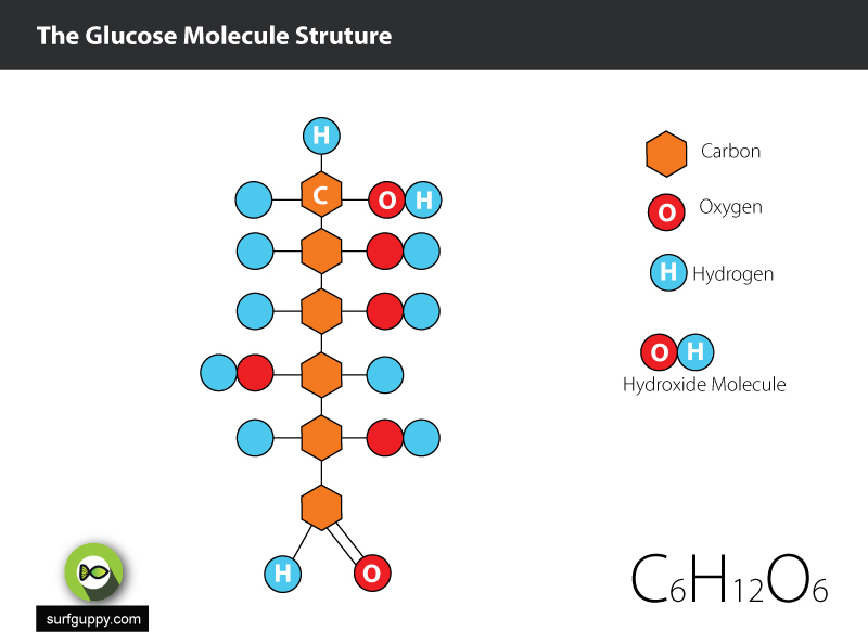 Glucose molecular structure -1