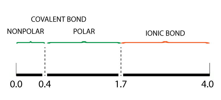 Electronegativity bond scale