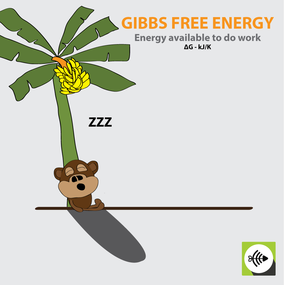 Gibb's Free Energy