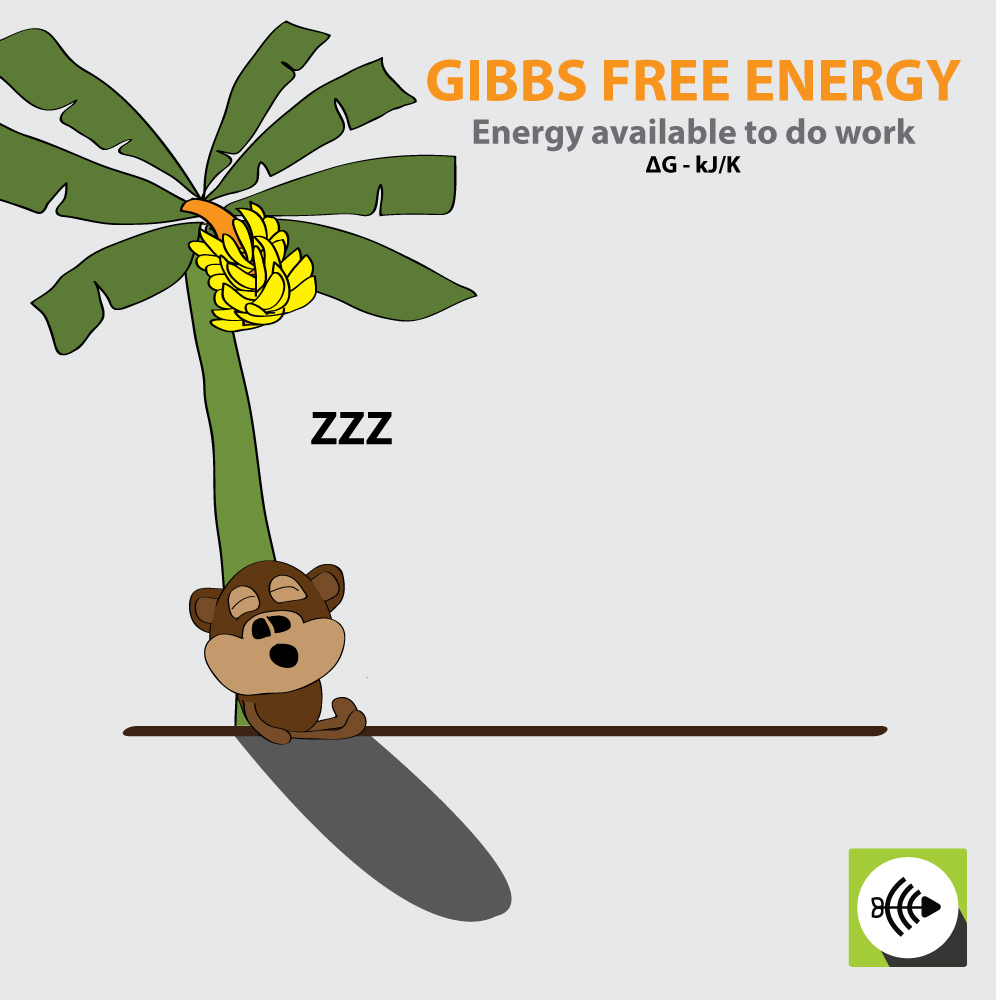 What Gibbs Free Energy