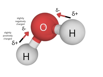 polar compound