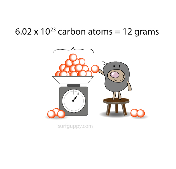 6.02 x 10^23 atoms = 12 grams