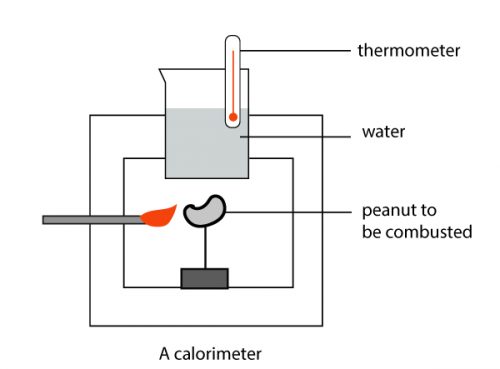 heat of combustion lab unit 3 lesson 4