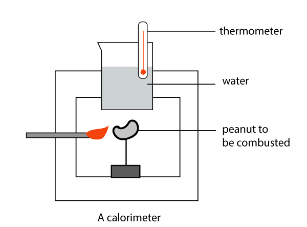 A calorimeter - peanut combustion