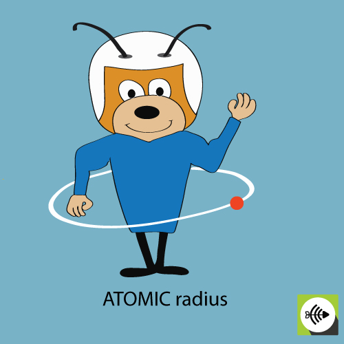 Atomic radius ant