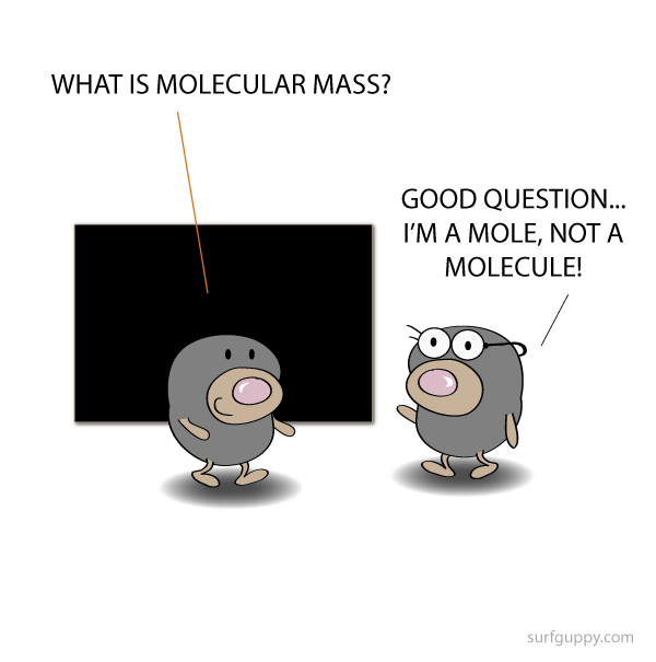 What is molecular mass?