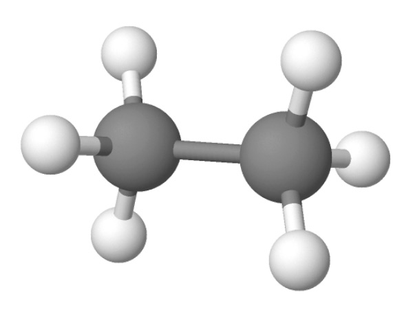 Ethane is a hydrocarbon that contains a single carbon–carbon bond