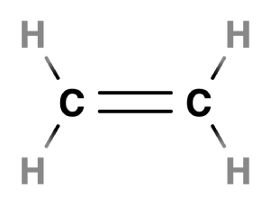 ethlyene - double bonds 