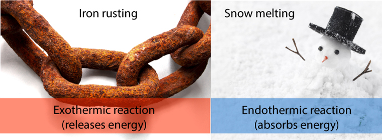 Exothermic vs endothermic 