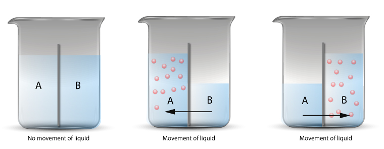 Semi-permeable membrane and osmotic flow