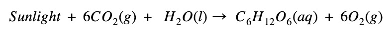 Photosynthesis chemical equation - an endothermic reaction