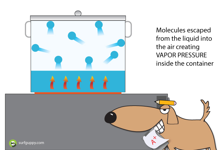 What is vapor pressure?